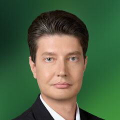 Владимир Мерзликин